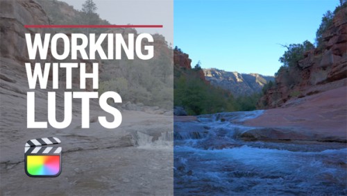 Working with LUTs in Final Cut Pro, Ripple Training: Video editing tutorials for the best editing software for PC and Mac.